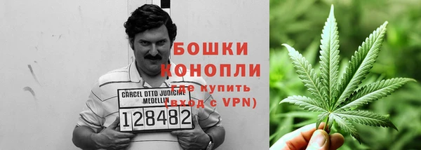 крисы Зеленокумск