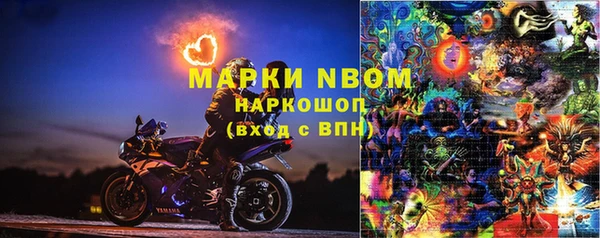 крисы Зеленокумск