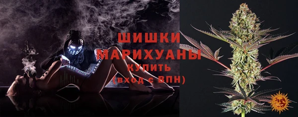 ГАЛЛЮЦИНОГЕННЫЕ ГРИБЫ Зеленодольск