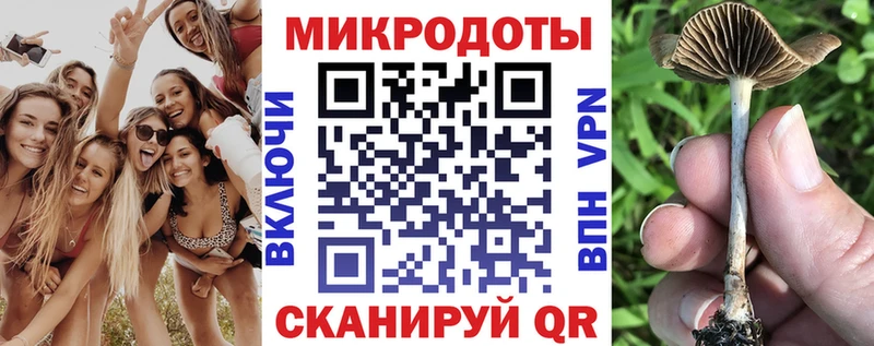 Галлюциногенные грибы Psilocybine cubensis Снежинск