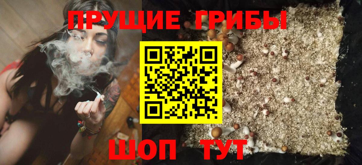 Псилоцибиновые грибы прущие грибы Снежинск